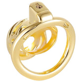 BDStyle Gold Chastity Cage Locked with 3 Active Sizes Rings